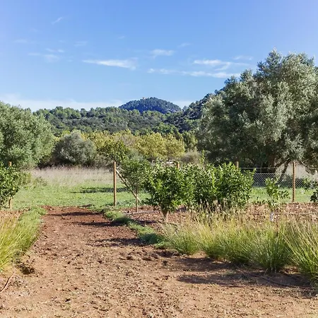 Villa Pau Pollença